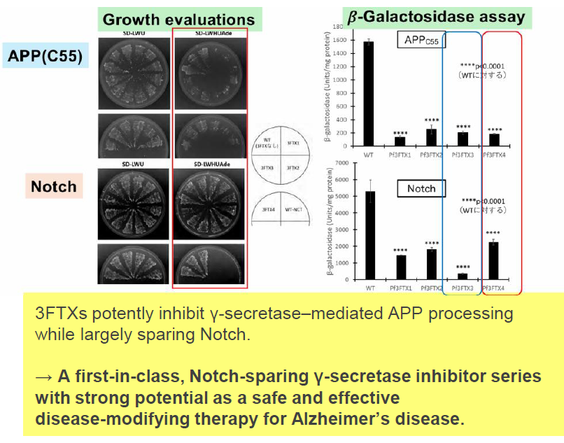 Novel Peptide Inhibitors for Alzheimer’s disease