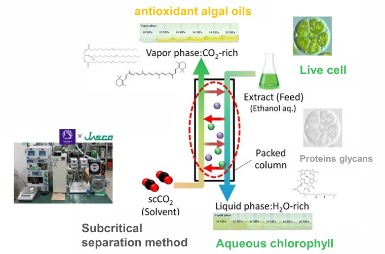 Supercritical & Subcritical Fluid System
