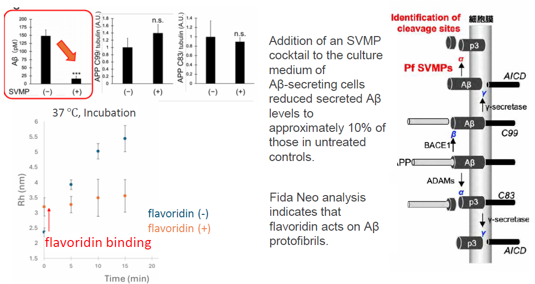 Amyloid‑β–Degrading Enzymes Derived from Habu Snake Venom