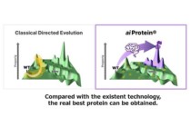 AI-assisted Protein Engineering Technology:aiProtein®