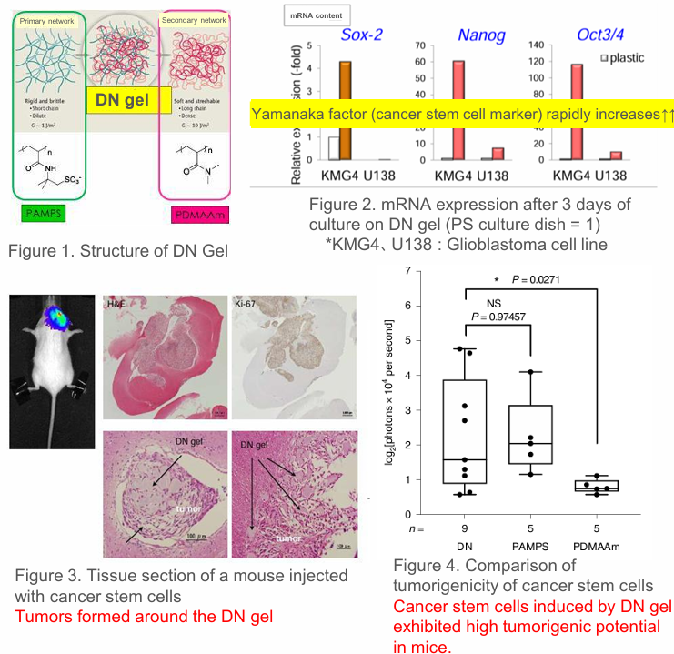 Gel for Rapid Induction of Cancer Stem Cells