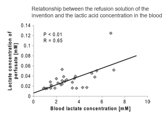 Skin Microcirculation System