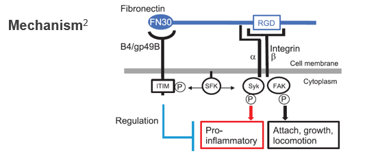 Immune checkpoint inhibitor