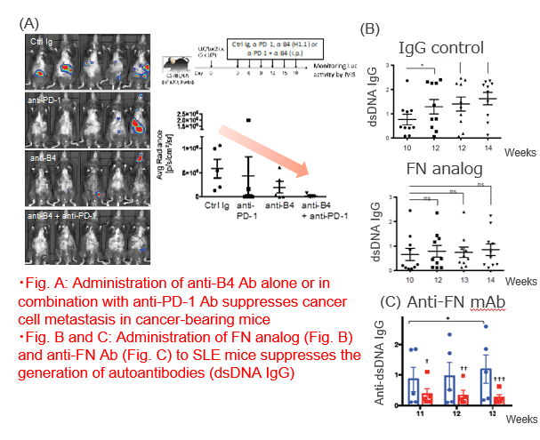 Immune checkpoint inhibitor