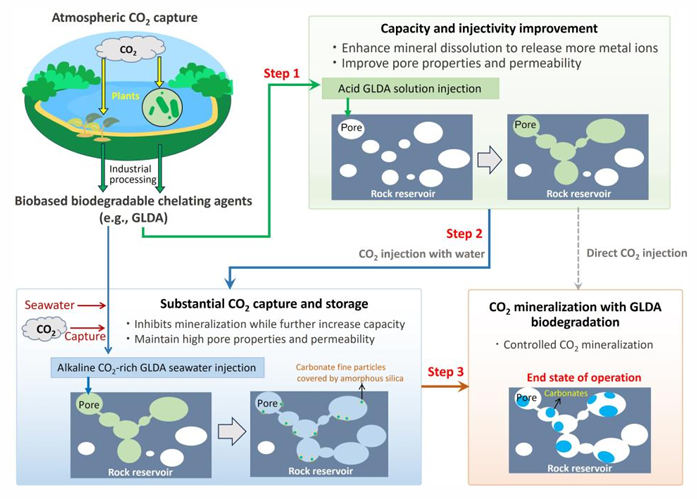 Enhanced CO₂ Geological Storage and Mineralization Using Rock Dissolution by Biodegradable Chelating Agents