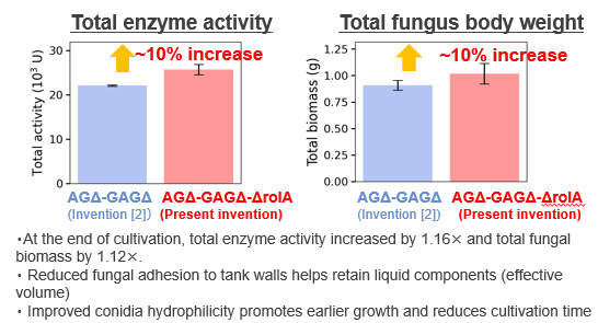 Highly Dispersible Filamentous Fungi with Reduced Adhesion and Aggregation to Culture Tank Equipment