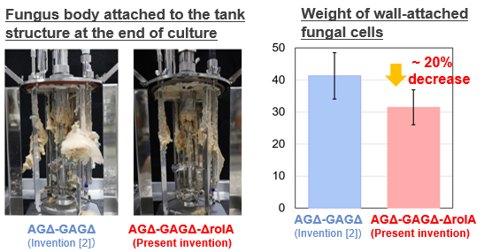Highly Dispersible Filamentous Fungi with Reduced Adhesion and Aggregation to Culture Tank Equipment