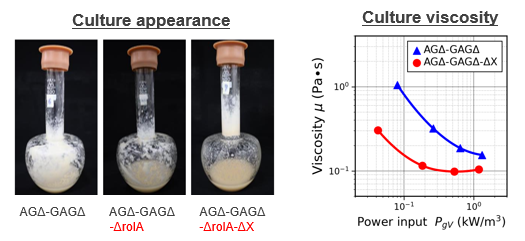 Highly Dispersible Filamentous Fungi with Reduced Hypoxia and Viscosity in Culture