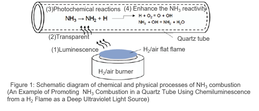 Ammonia combustion device