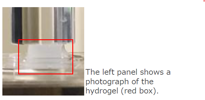 Fabrication of cellulose hydrogels