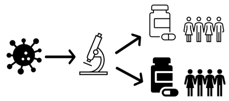 A Diagnostic Test Enabling Precision Oncology in Head and Neck Cancer